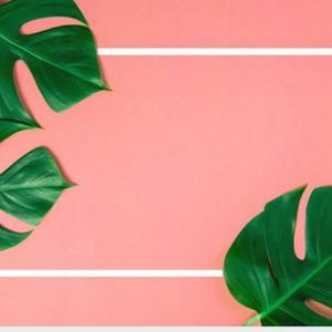 Meet your Posher, Marie